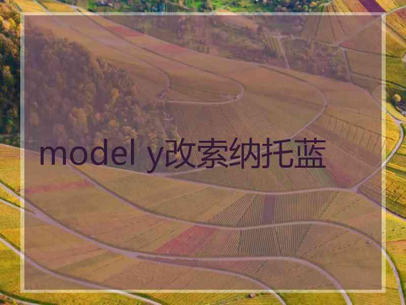 model y改索纳托蓝