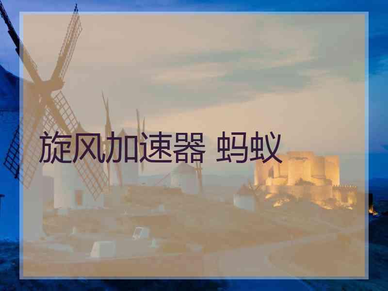 旋风加速器 蚂蚁