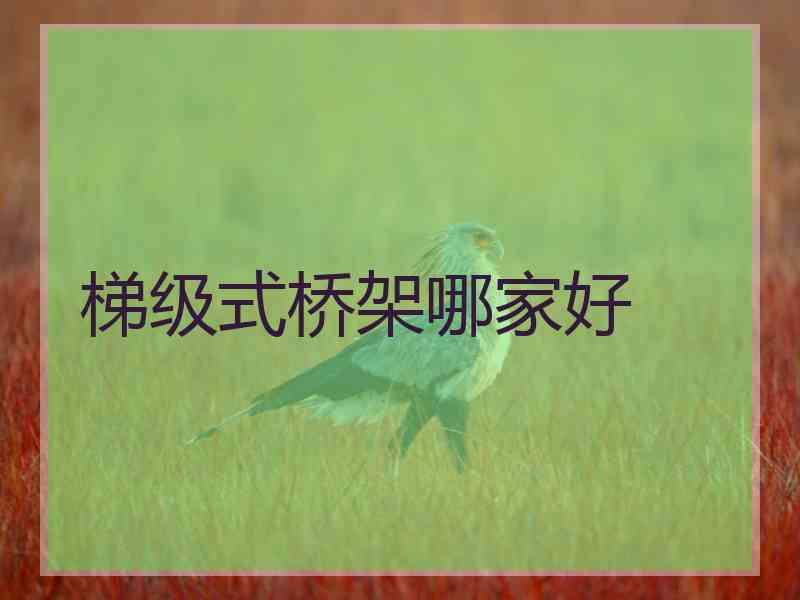梯级式桥架哪家好
