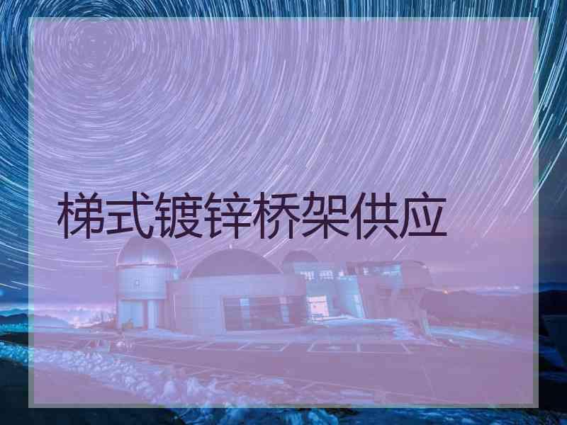 梯式镀锌桥架供应