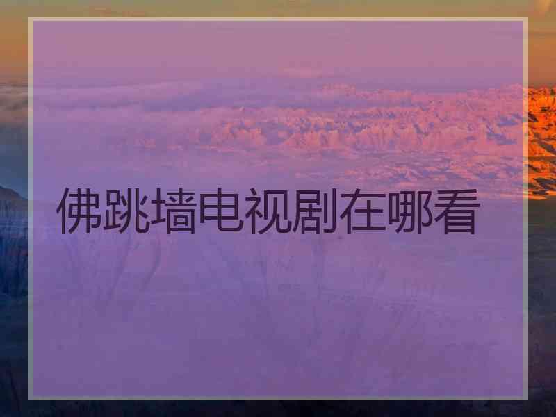 佛跳墙电视剧在哪看