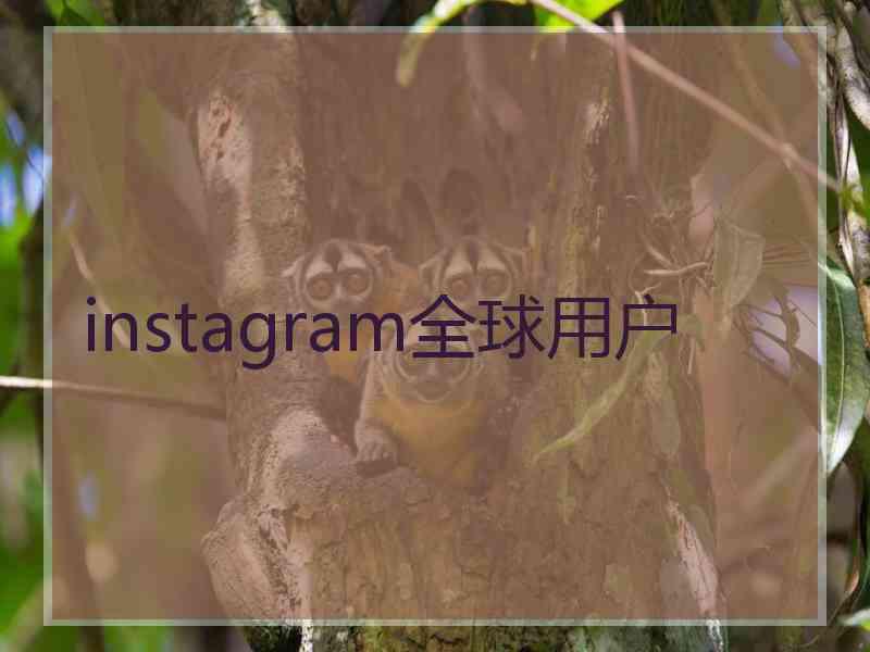 instagram全球用户