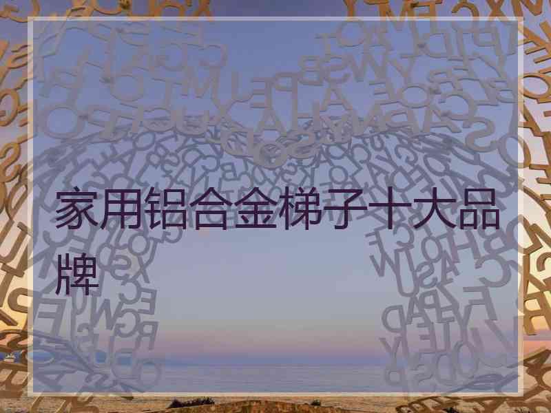 家用铝合金梯子十大品牌