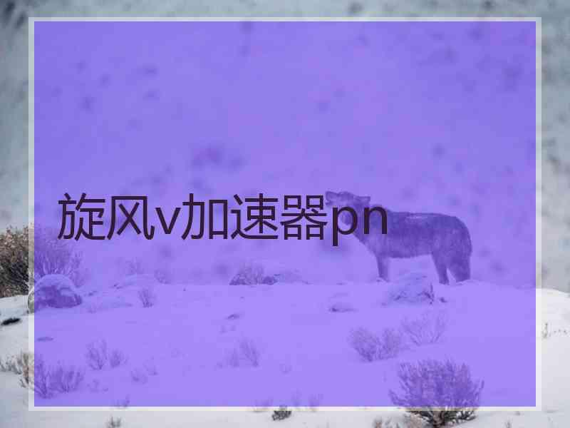 旋风v加速器pn