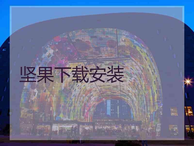 坚果下载安装