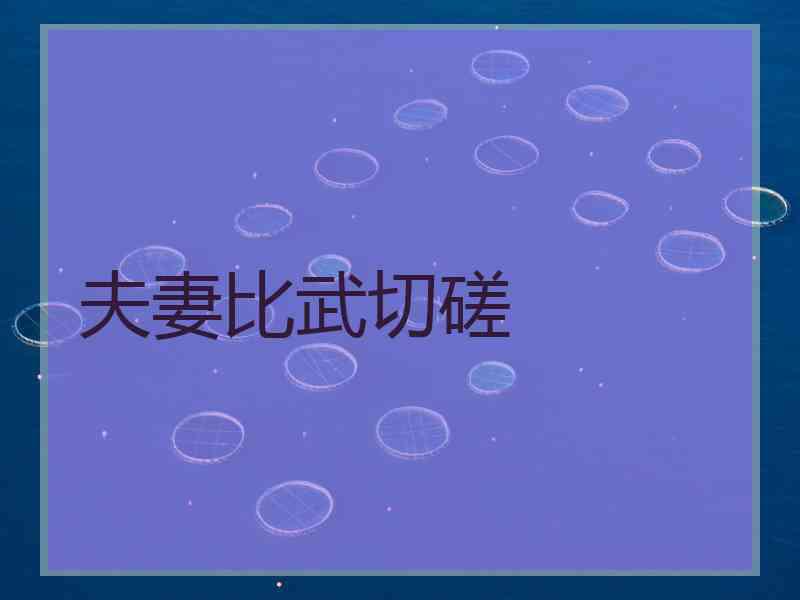 夫妻比武切磋