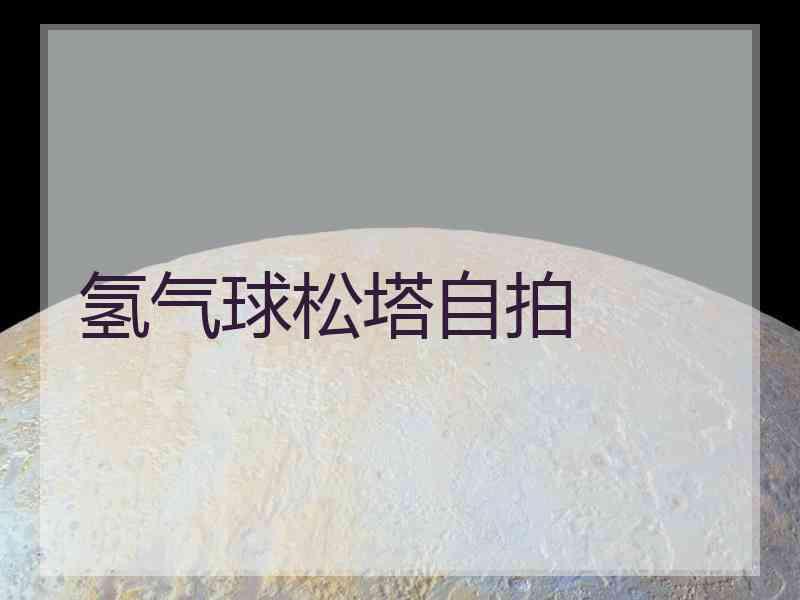 氢气球松塔自拍