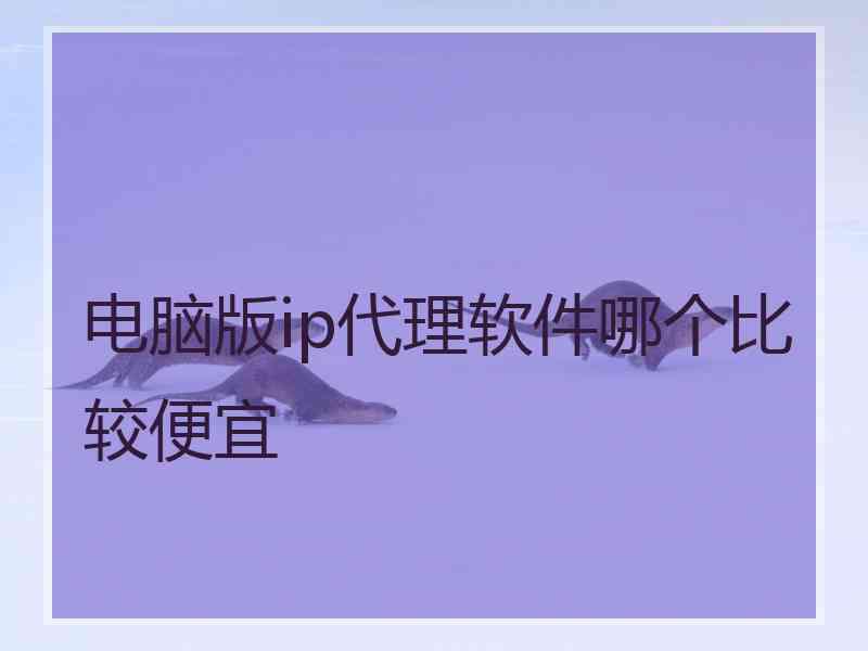 电脑版ip代理软件哪个比较便宜