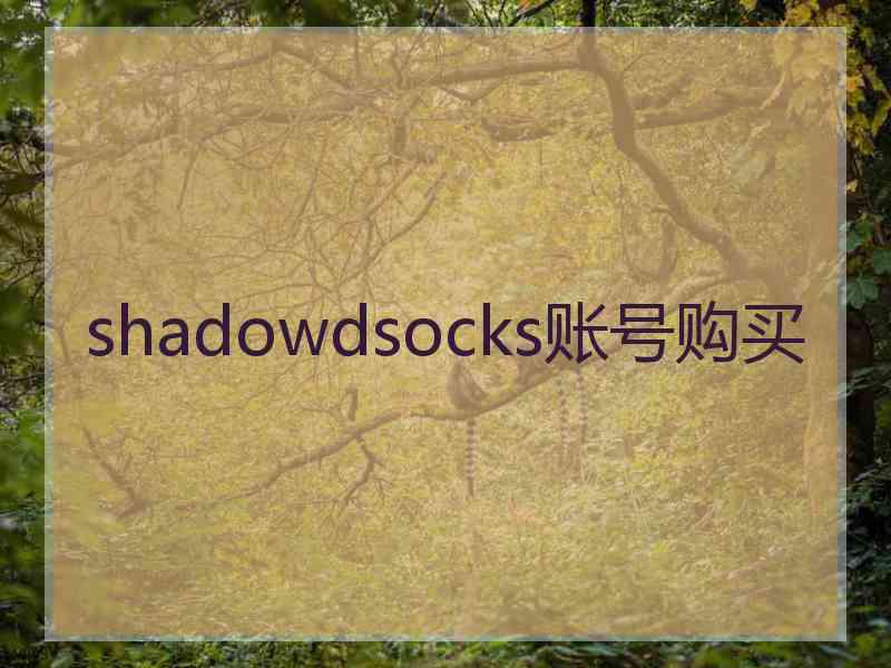 shadowdsocks账号购买