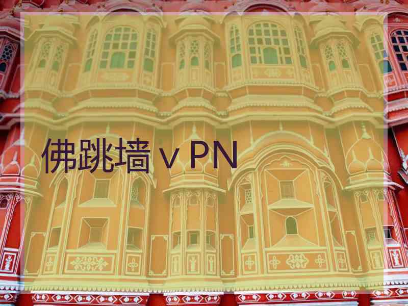 佛跳墙ⅴPN