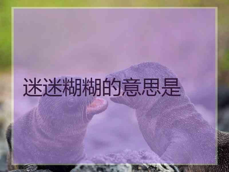 迷迷糊糊的意思是