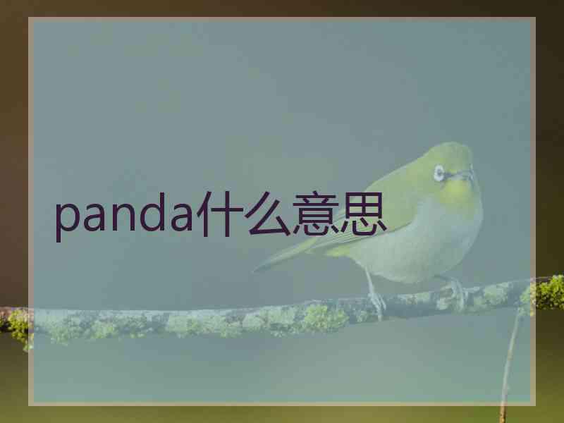 panda什么意思