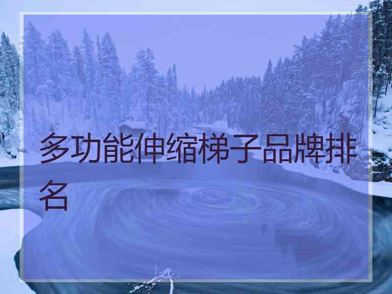 多功能伸缩梯子品牌排名