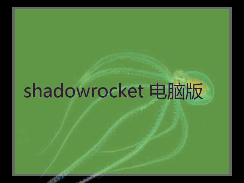 shadowrocket 电脑版