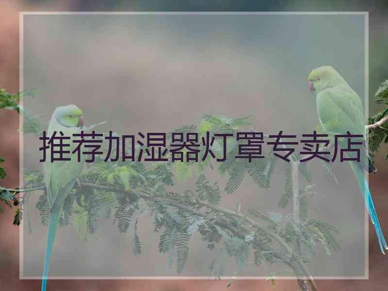 推荐加湿器灯罩专卖店
