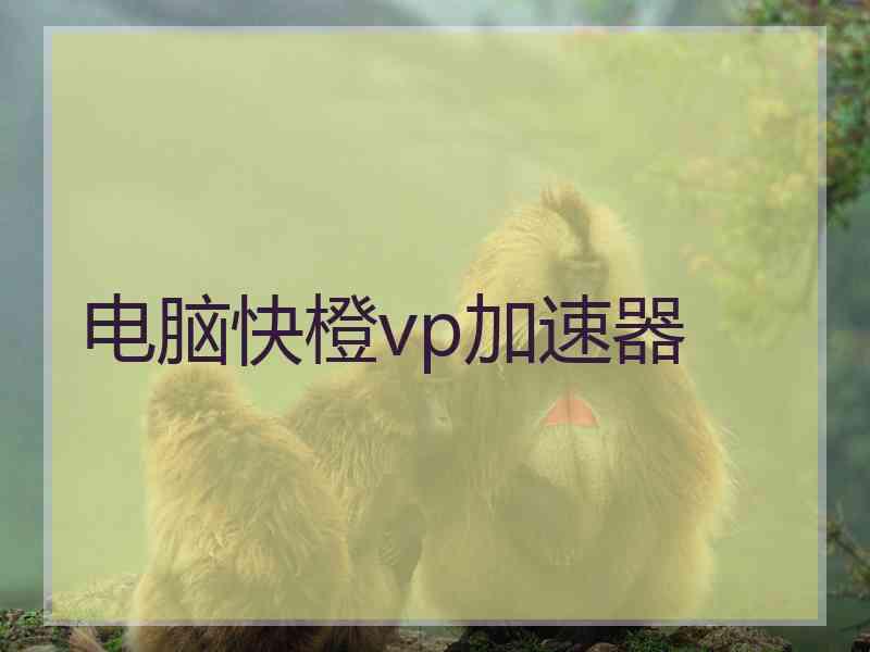 电脑快橙vp加速器