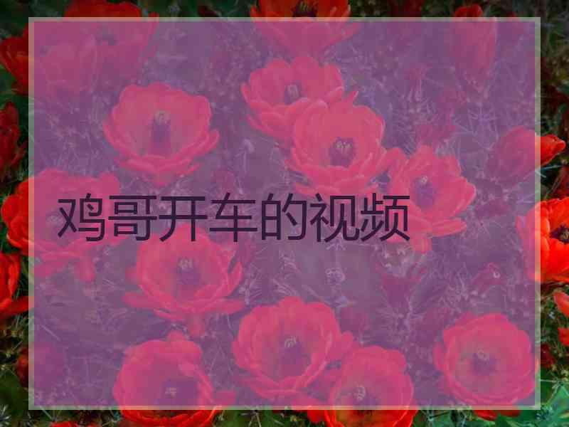 鸡哥开车的视频