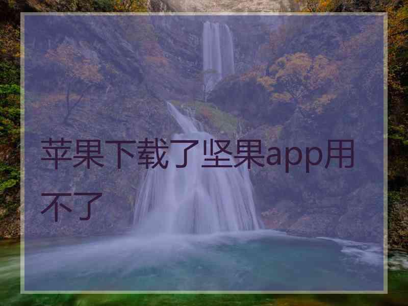 苹果下载了坚果app用不了