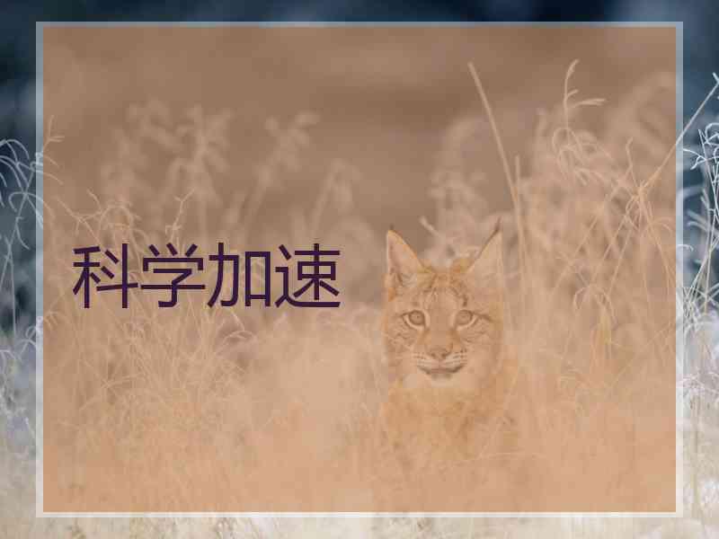 科学加速
