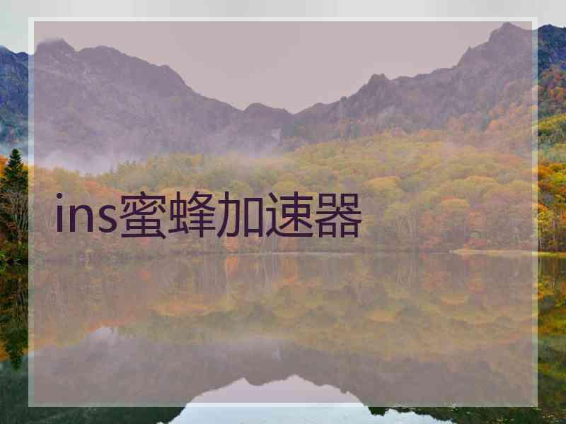ins蜜蜂加速器
