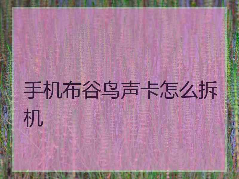 手机布谷鸟声卡怎么拆机