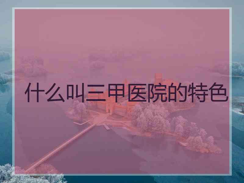 什么叫三甲医院的特色