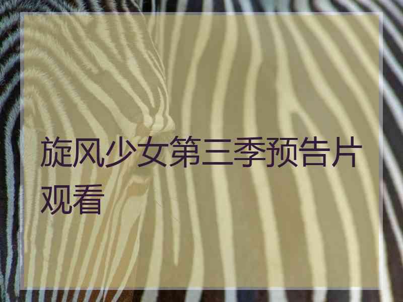 旋风少女第三季预告片观看