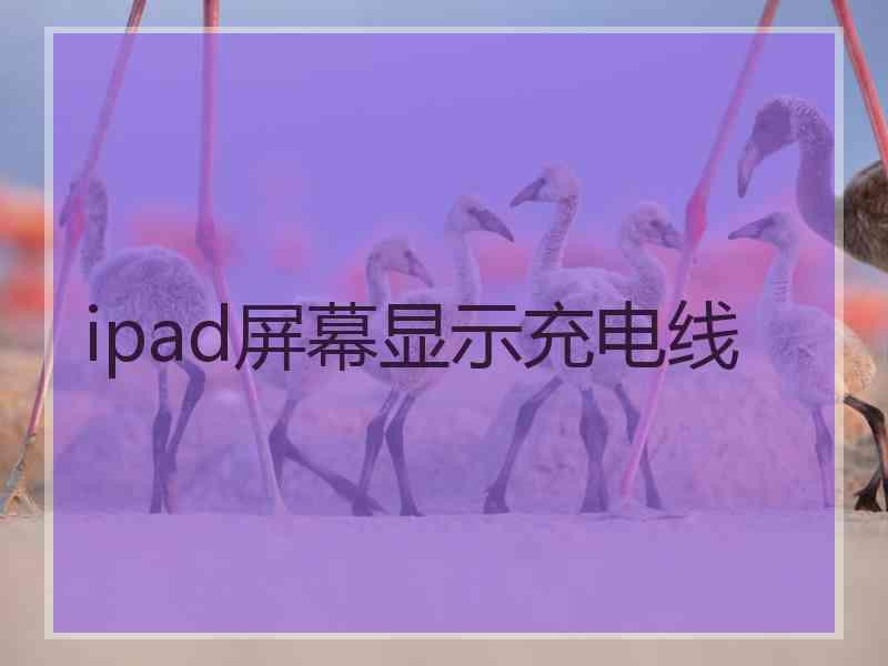 ipad屏幕显示充电线