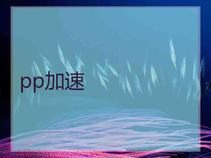 pp加速