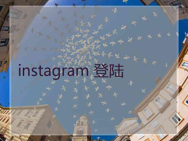 instagram 登陆
