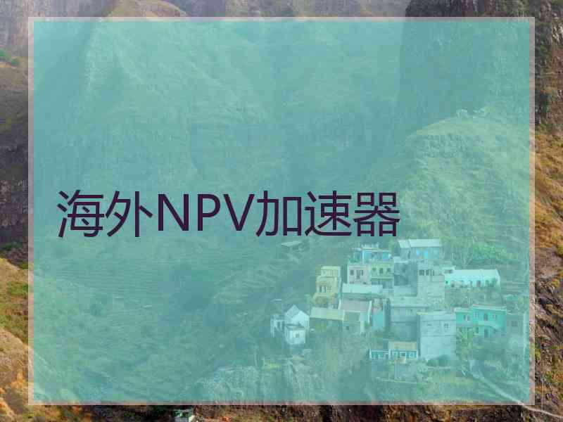 海外NPV加速器