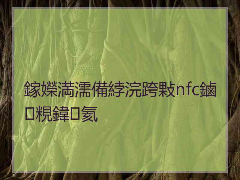 鎵嬫満濡備綍浣跨敤nfc鏀粯鍏氦