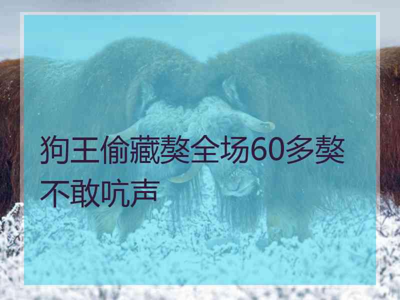 狗王偷藏獒全场60多獒不敢吭声