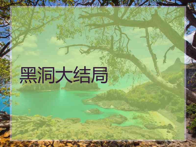 黑洞大结局