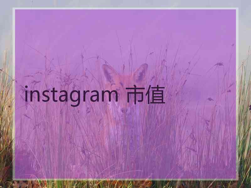 instagram 市值