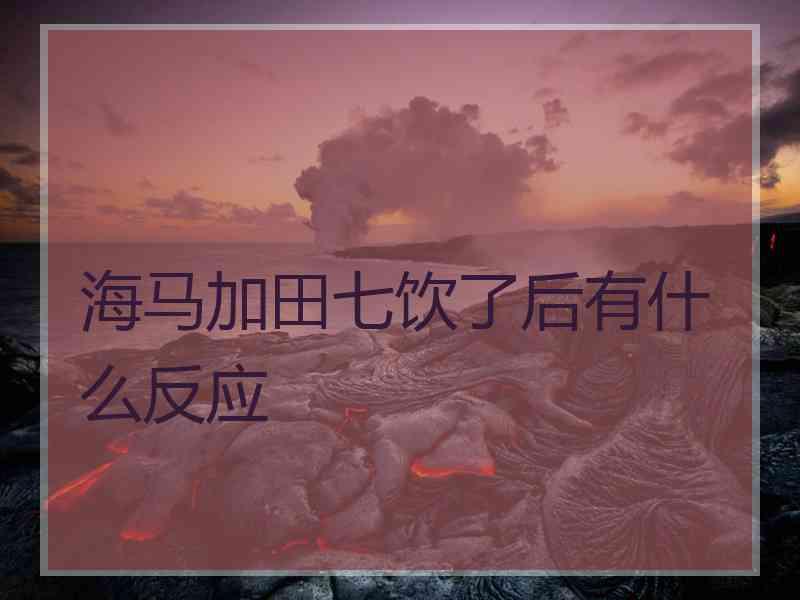 海马加田七饮了后有什么反应