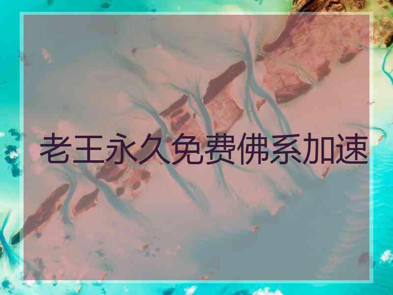 老王永久免费佛系加速