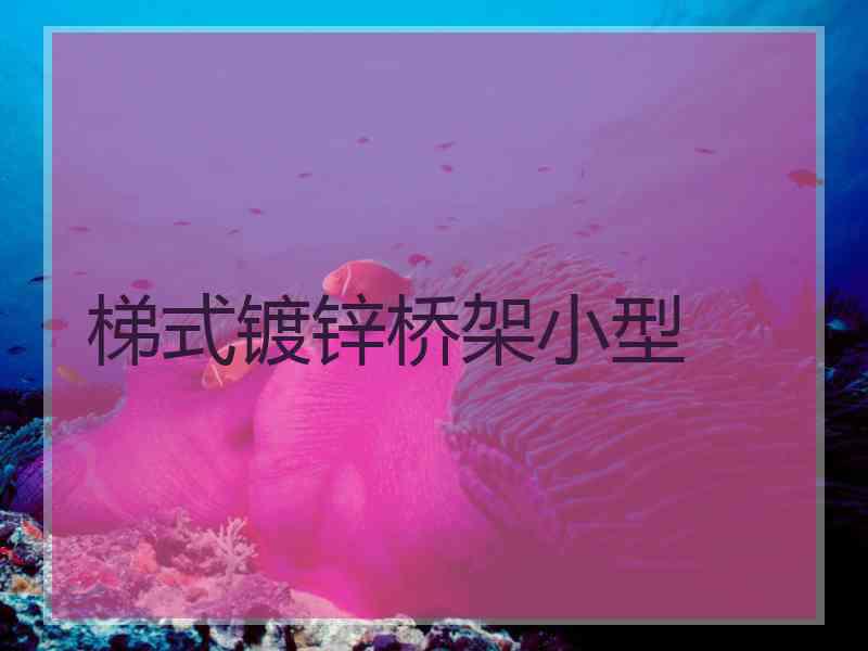 梯式镀锌桥架小型