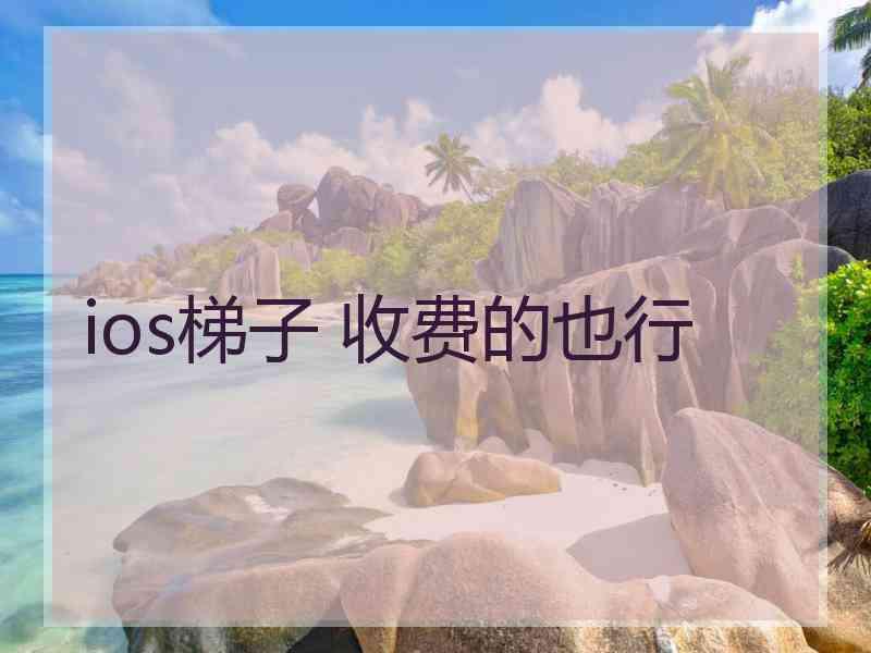 ios梯子 收费的也行