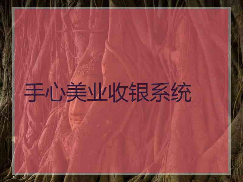 手心美业收银系统