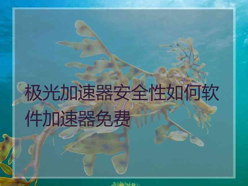 极光加速器安全性如何软件加速器免费