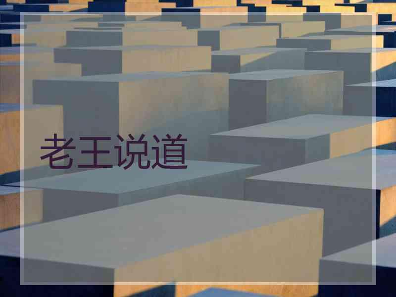 老王说道