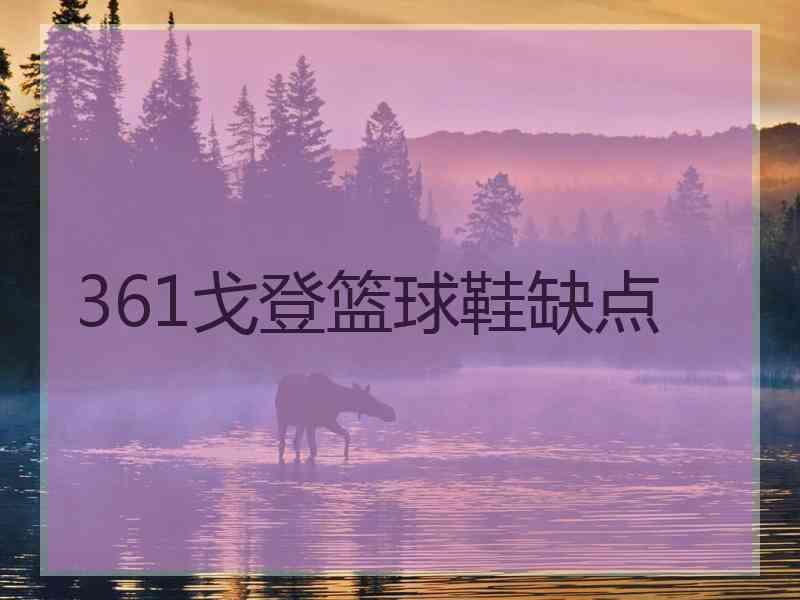 361戈登篮球鞋缺点