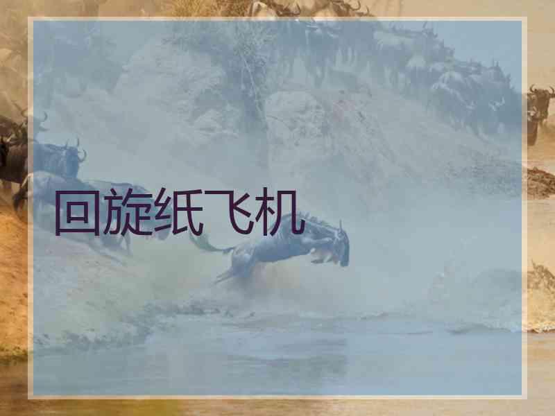 回旋纸飞机