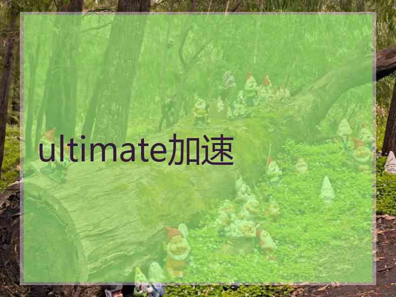 ultimate加速