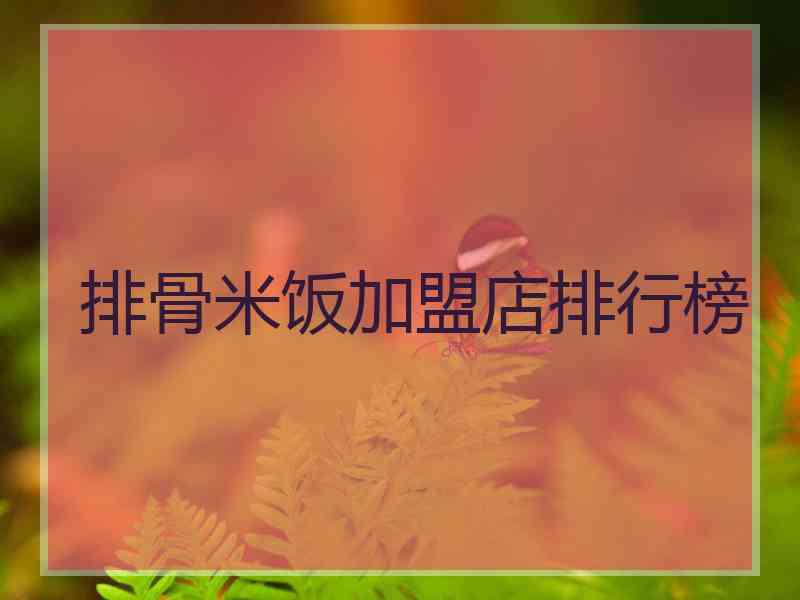 排骨米饭加盟店排行榜