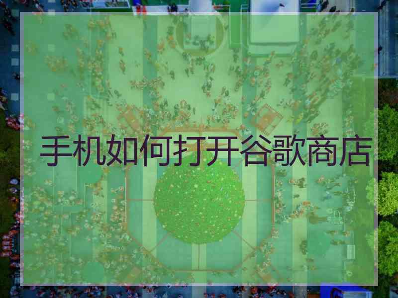 手机如何打开谷歌商店