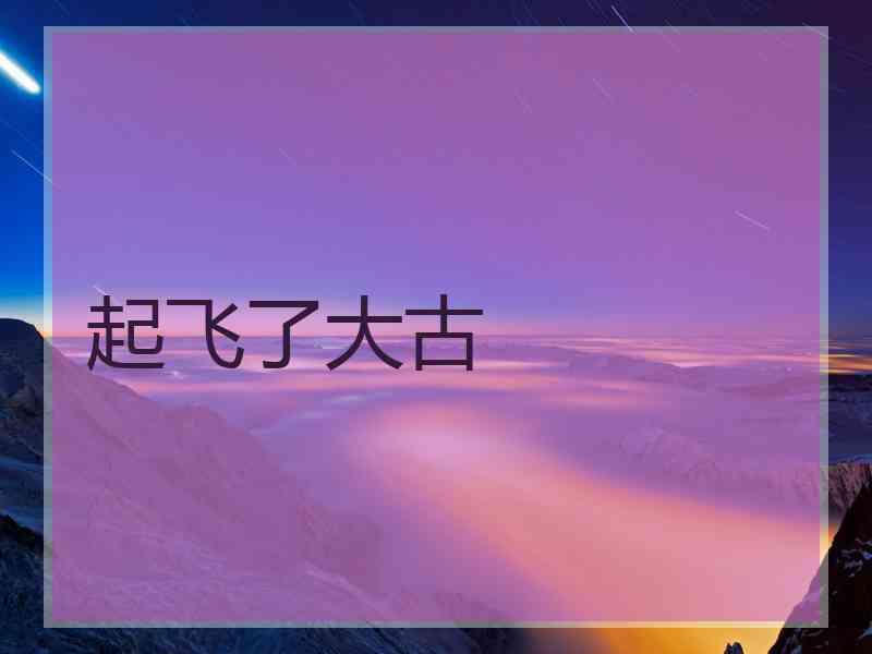 起飞了大古
