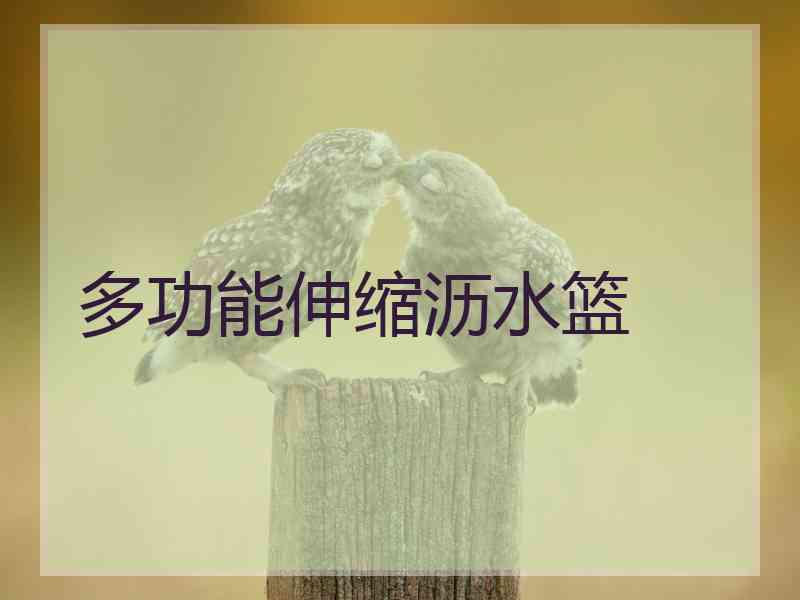 多功能伸缩沥水篮
