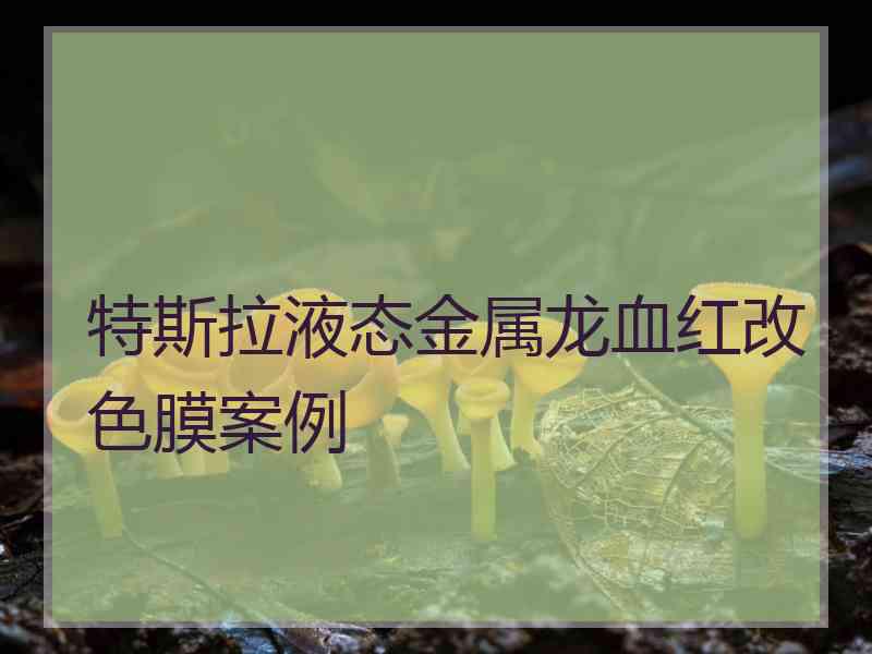 特斯拉液态金属龙血红改色膜案例